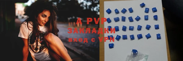 a pvp Бородино